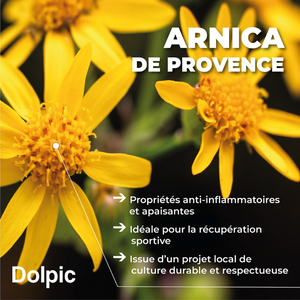Huile de massage - 100 ml - Dolpic Dolpic