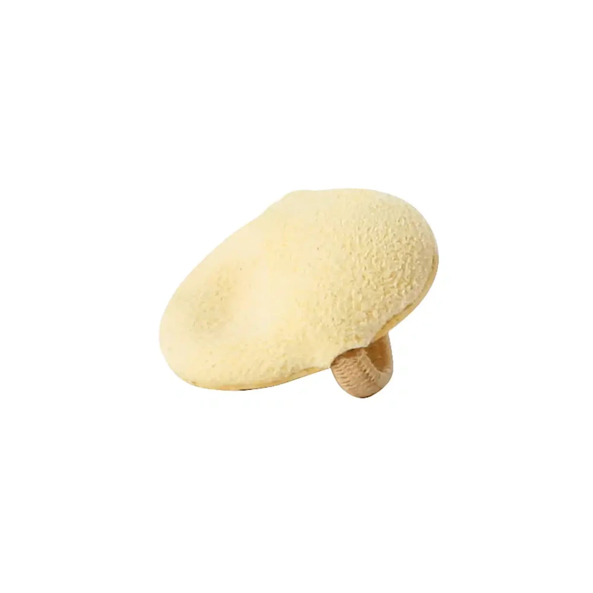 Protection pour orteils - Coussin de base pour orteils - Ruck Ruck