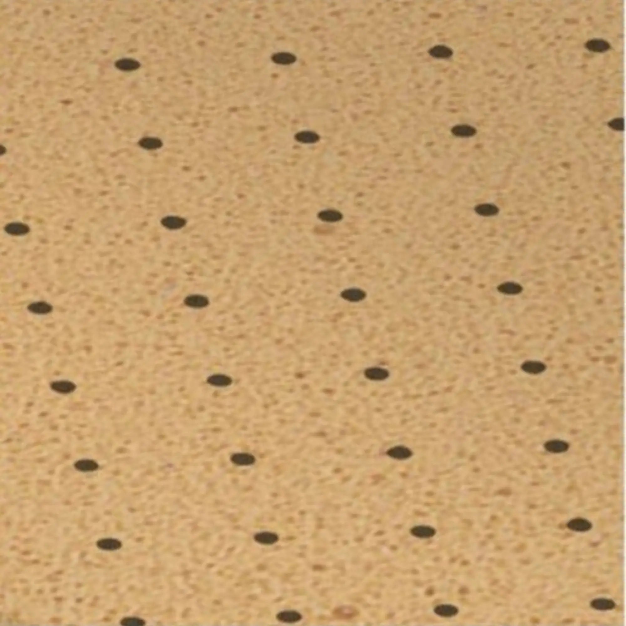 Recouvrement My Evastar Premium Soft - EVA - Shore 30 - Perforé - 2 mm / 3 mm My Podologie