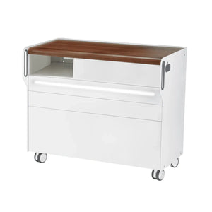 Unité de Podologie "Room Move" - Taille L - Ruck Ruck Noyer-3-avec-LED-compartiment-micromoteur-à-gauche