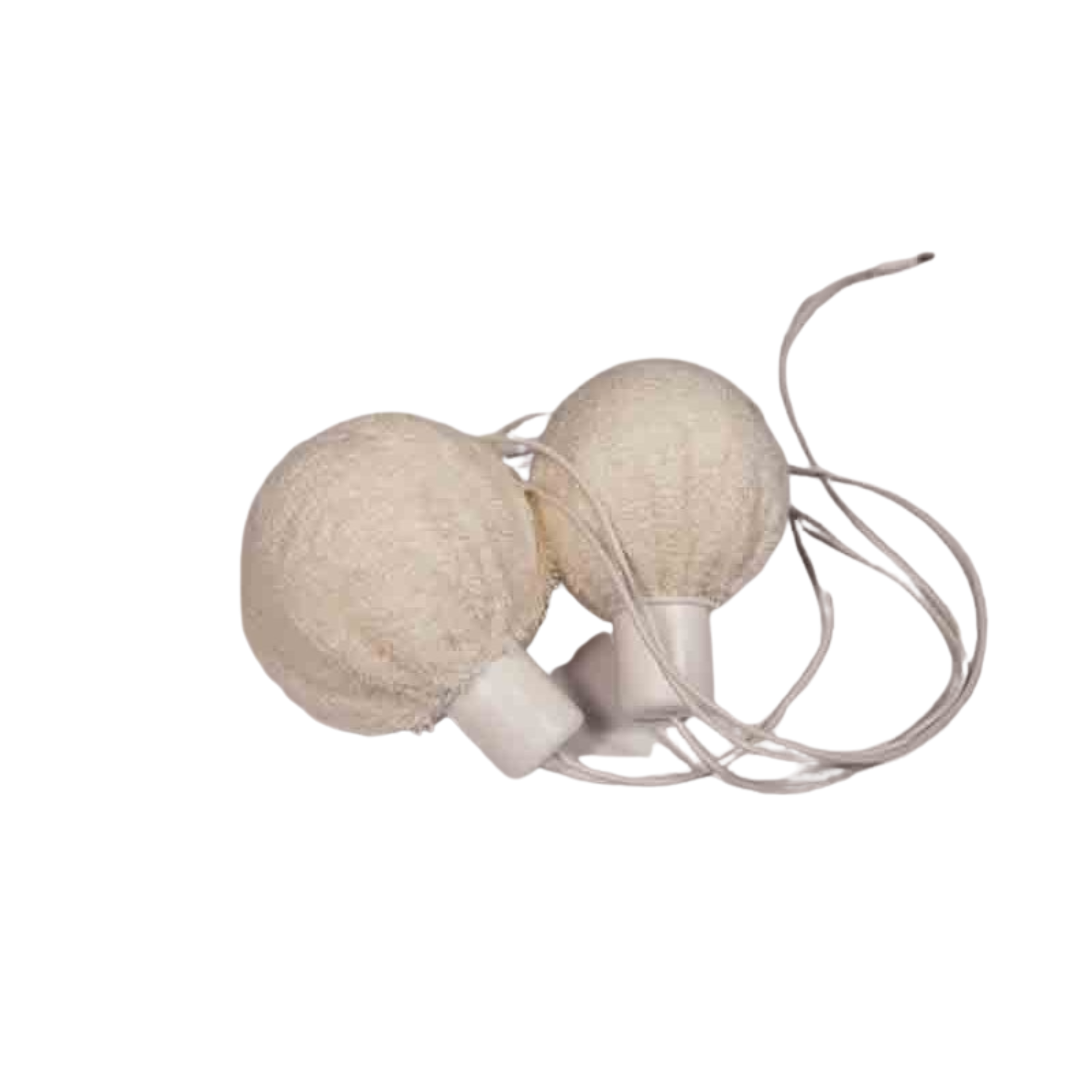 Kit AXILLA - Laboratorios I2M