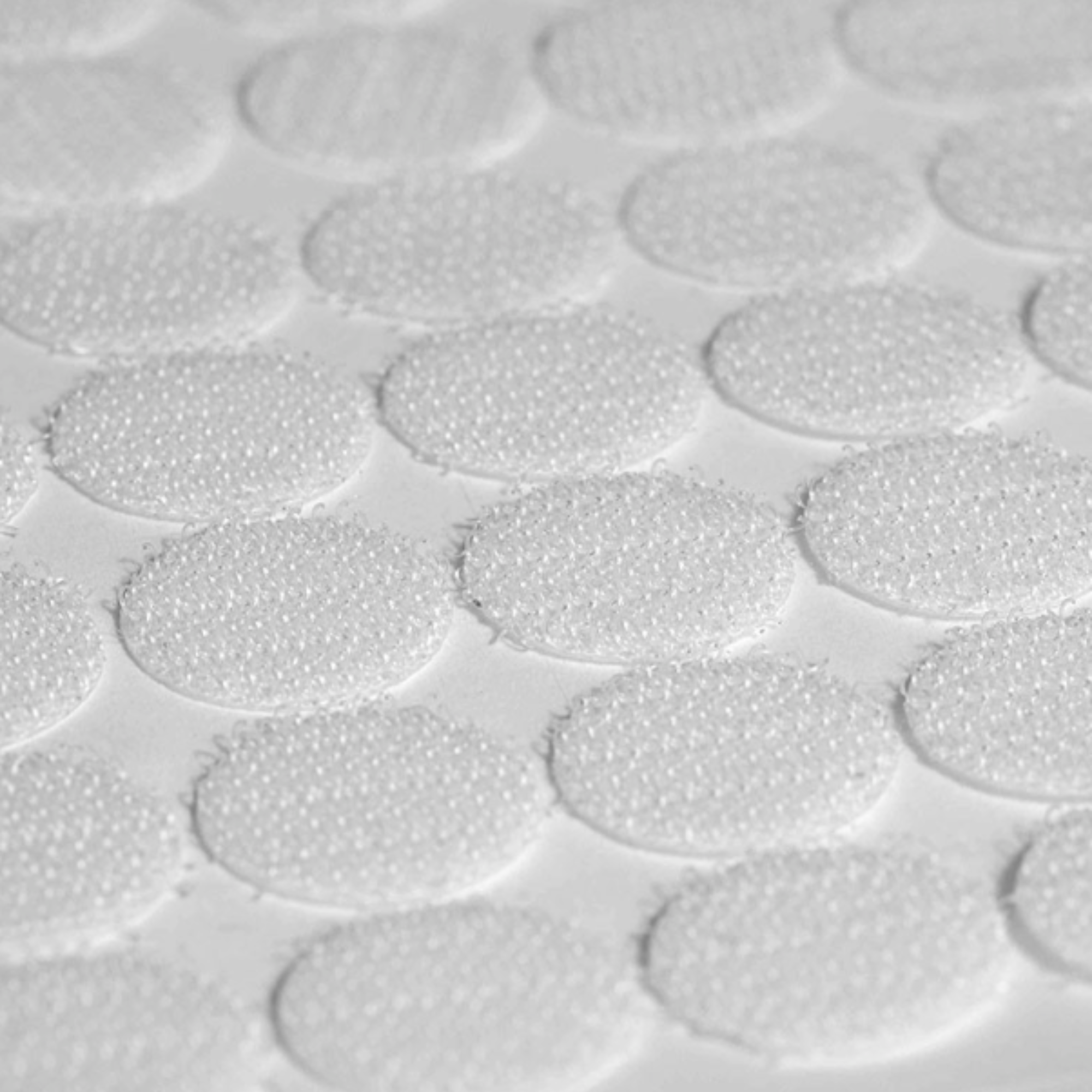 Adhesive Pads - Gripping hooks - Box of 150 pads - Velcro